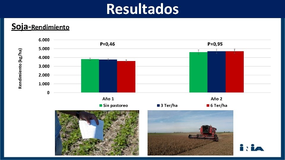 Resultados Soja-Rendimiento P=0, 46 P=0, 95 