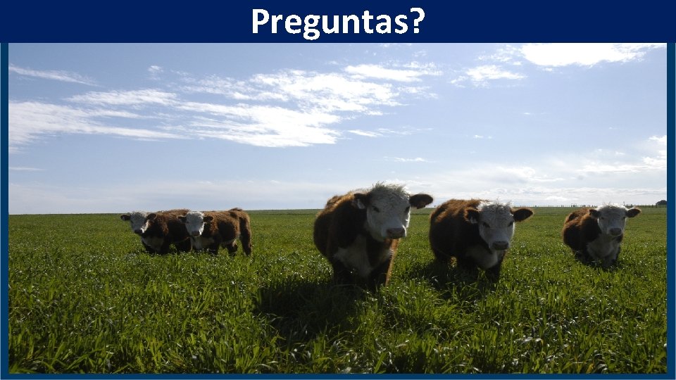 Preguntas? 