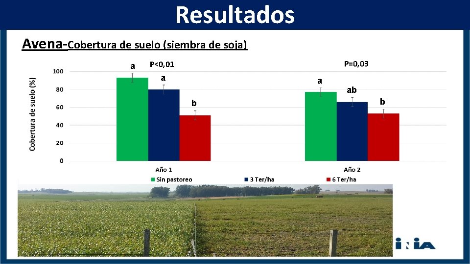 Resultados Avena-Cobertura de suelo (siembra de soja) a P=0, 03 P<0, 01 a a