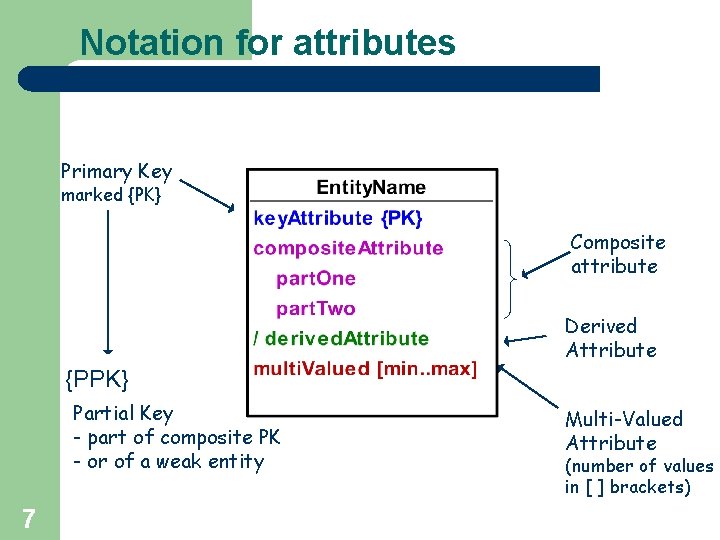 Notation for attributes Primary Key marked {PK} Composite attribute Derived Attribute {PPK} Partial Key