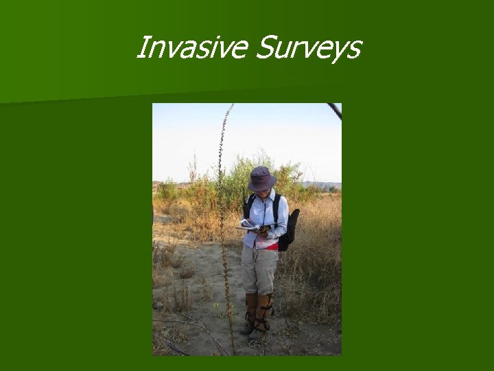 Invasive Surveys 