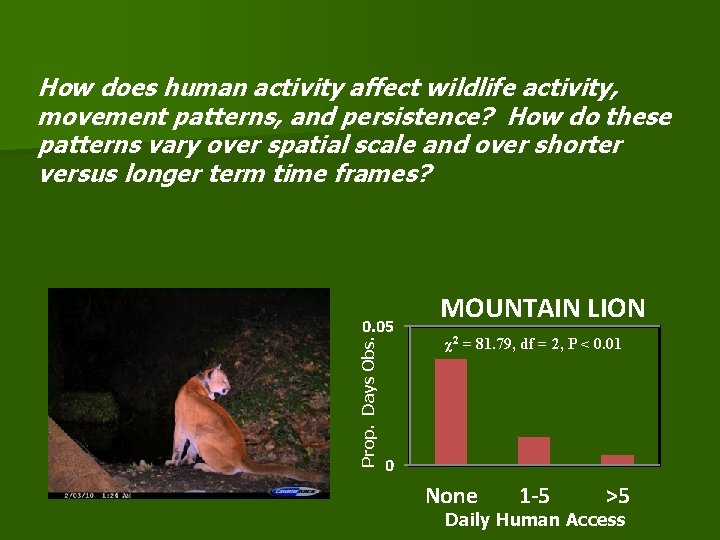 How does human activity affect wildlife activity, movement patterns, and persistence? How do these