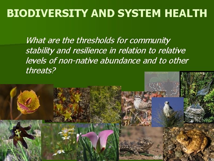BIODIVERSITY AND SYSTEM HEALTH What are thresholds for community stability and resilience in relation
