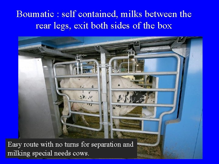 Boumatic : self contained, milks between the rear legs, exit both sides of the Boumatic : self contained, milks between the rear legs, exit both sides of the