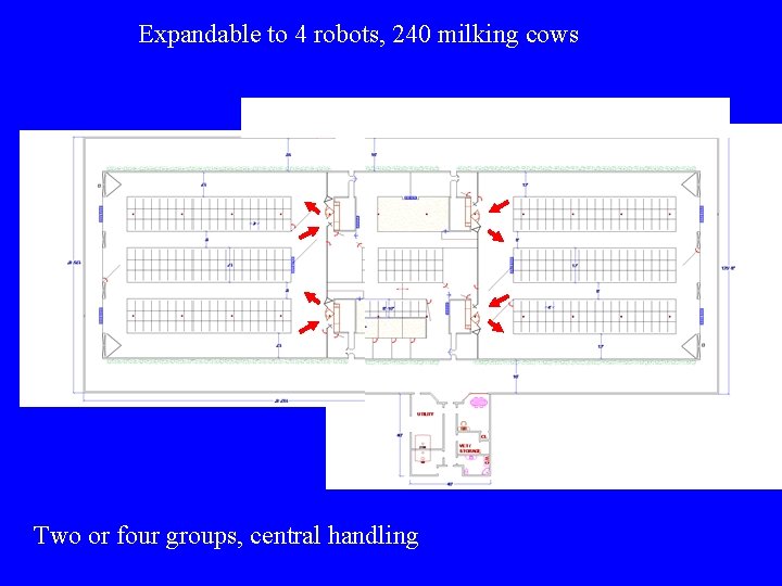 Expandable to 4 robots, 240 milking cows Y Two or four groups, central handling Expandable to 4 robots, 240 milking cows Y Two or four groups, central handling