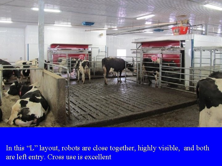 In this “L” layout, robots are close together, highly visible, and both are left In this “L” layout, robots are close together, highly visible, and both are left