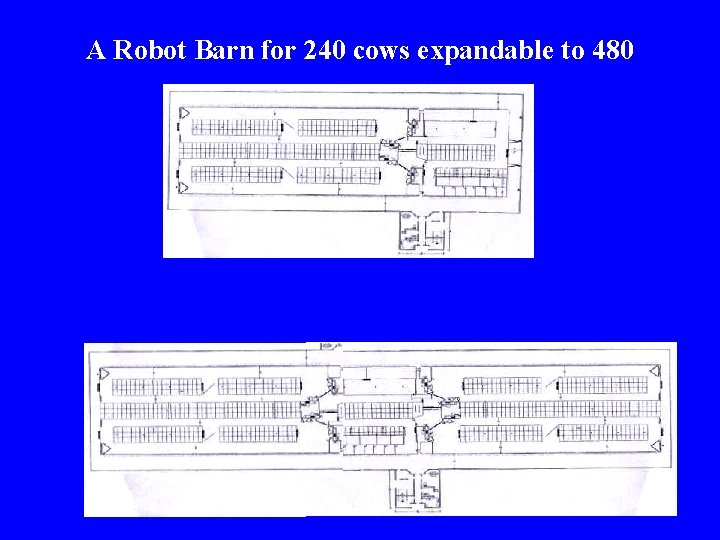 A Robot Barn for 240 cows expandable to 480 Aaaaaa  A Robot Barn for 240 cows expandable to 480 Aaaaaa
