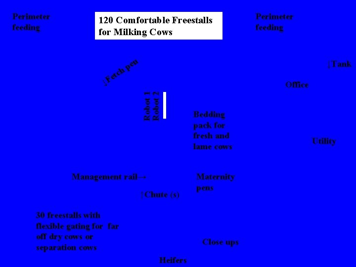 Perimeter feeding 120 Comfortable Freestalls for Milking Cows Perimeter feeding en p h ↓Tank Perimeter feeding 120 Comfortable Freestalls for Milking Cows Perimeter feeding en p h ↓Tank