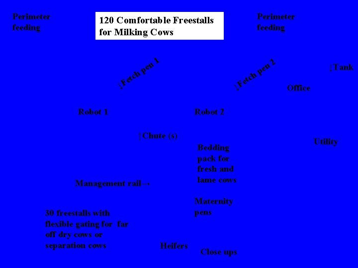 Perimeter feeding 120 Comfortable Freestalls for Milking Cows tch n pe 1 h Fe Perimeter feeding 120 Comfortable Freestalls for Milking Cows tch n pe 1 h Fe