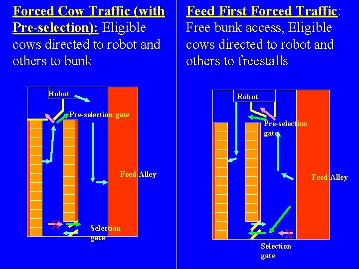 Forced Cow Traffic (with Pre-selection): Eligible cows directed to robot and others to bunk Forced Cow Traffic (with Pre-selection): Eligible cows directed to robot and others to bunk
