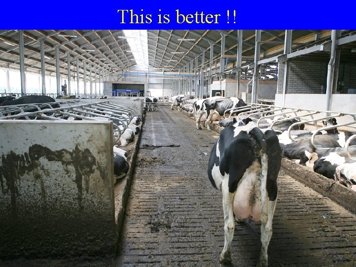 This is better !!  This is better !!