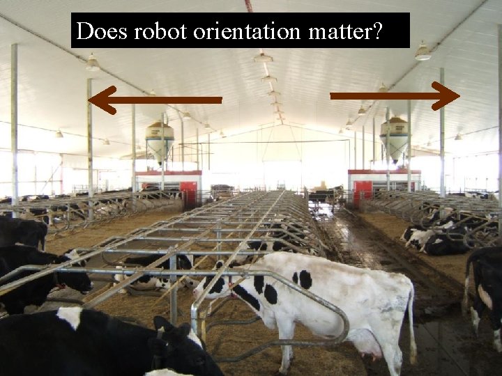 Does robot orientation matter?  Does robot orientation matter?