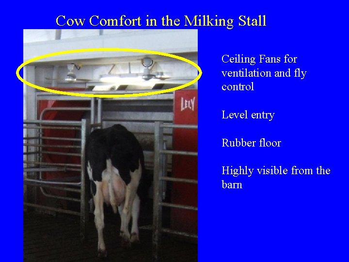Cow Comfort in the Milking Stall Ceiling Fans for ventilation and fly control Level Cow Comfort in the Milking Stall Ceiling Fans for ventilation and fly control Level