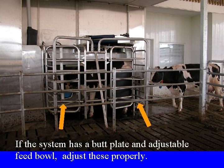 If the system has a butt plate and adjustable feed bowl, adjust these properly. If the system has a butt plate and adjustable feed bowl, adjust these properly.