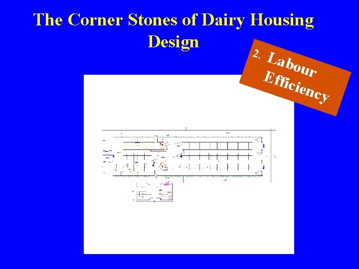 The Corner Stones of Dairy Housing Design 2. Lab our Effi cien cy  The Corner Stones of Dairy Housing Design 2. Lab our Effi cien cy