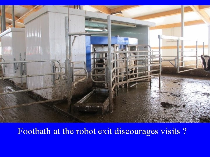 Footbath at the robot exit discourages visits ?  Footbath at the robot exit discourages visits ?
