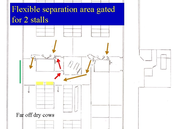 Flexible separation area gated for 2 stalls Far off dry cows  Flexible separation area gated for 2 stalls Far off dry cows