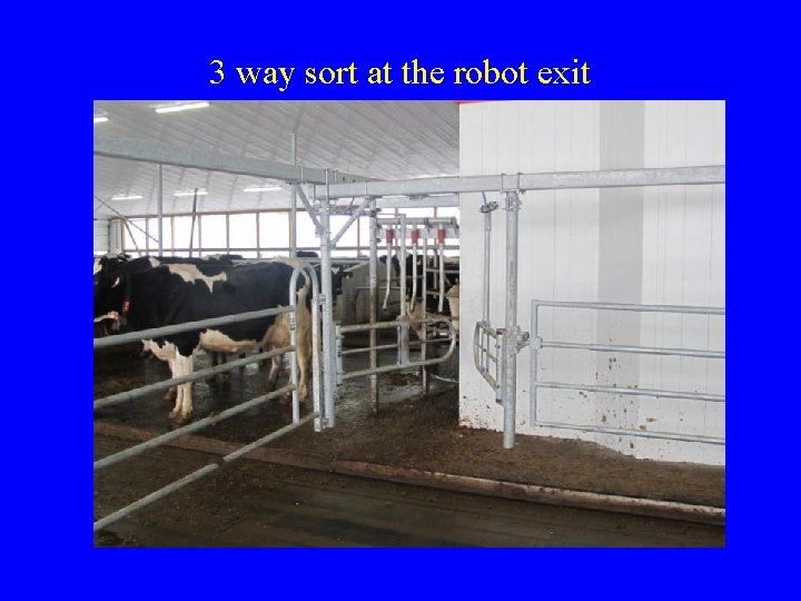 3 way sort at the robot exit  3 way sort at the robot exit