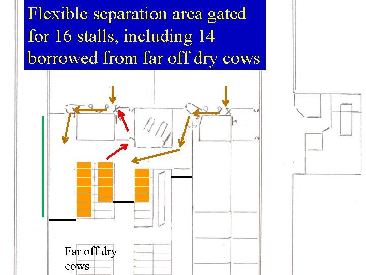 Flexible separation area gated for 16 stalls, including 14 borrowed from far off dry Flexible separation area gated for 16 stalls, including 14 borrowed from far off dry