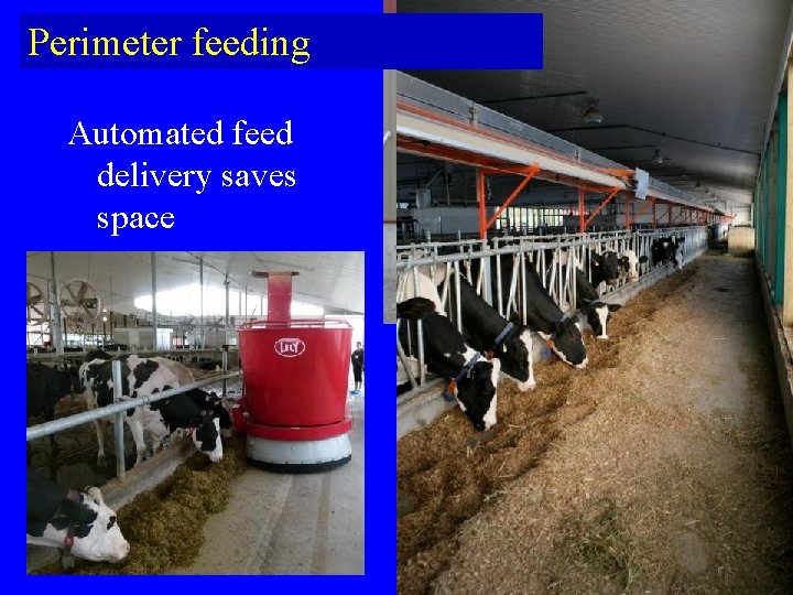 Perimeter feeding Automated feed delivery saves space  Perimeter feeding Automated feed delivery saves space