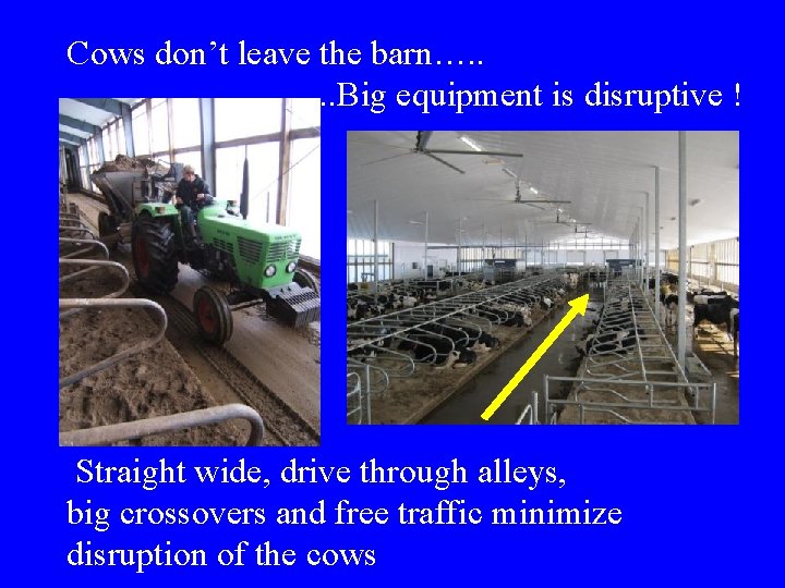 Cows don’t leave the barn…. . . Big equipment is disruptive ! Straight wide, Cows don’t leave the barn…. . . Big equipment is disruptive ! Straight wide,