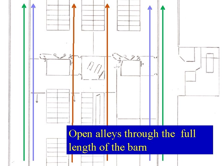 Open alleys through the full length of the barn  Open alleys through the full length of the barn