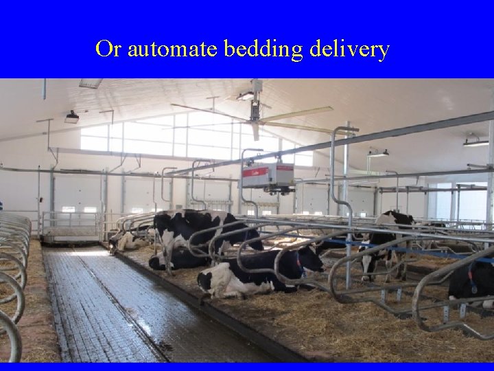 Or automate bedding delivery  Or automate bedding delivery