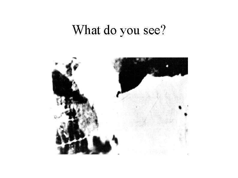 What do you see? 