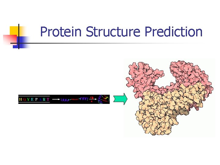 Protein Structure Prediction 