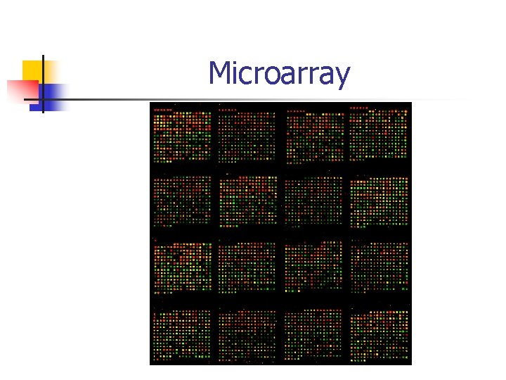 Microarray 