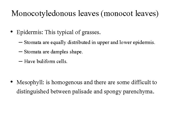 Monocotyledonous leaves (monocot leaves) • Epidermis: This typical of grasses. – Stomata are equally