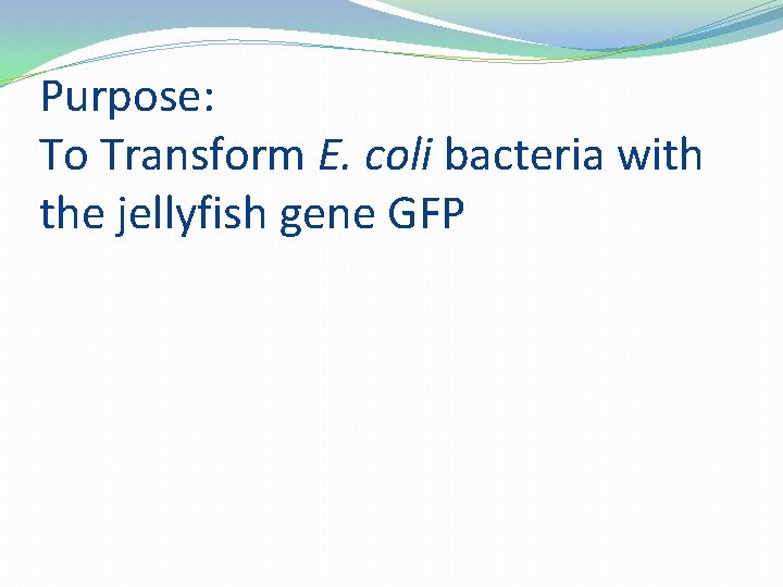 Purpose: To Transform E. coli bacteria with the jellyfish gene GFP 