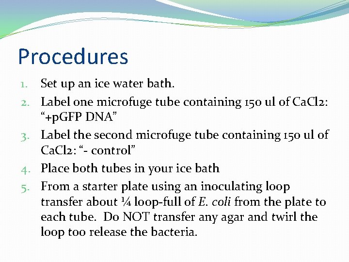 Glowing Bacteria Purpose To Transform E coli bacteria