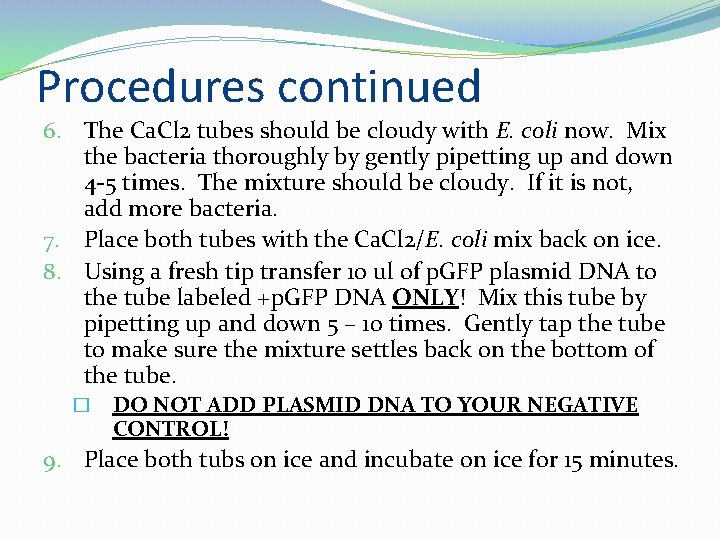 Procedures continued 6. The Ca. Cl 2 tubes should be cloudy with E. coli