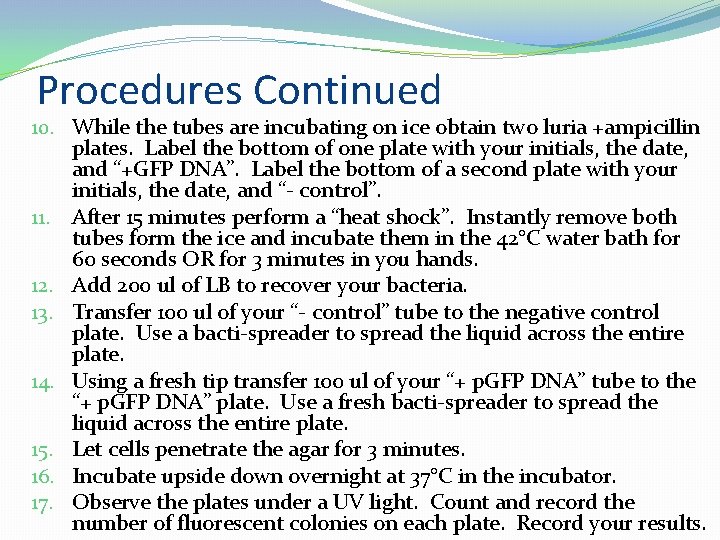 Procedures Continued 10. While the tubes are incubating on ice obtain two luria +ampicillin