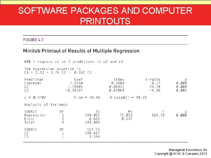 SOFTWARE PACKAGES AND COMPUTER PRINTOUTS Managerial Economics, 8 e Copyright @ W. W. &