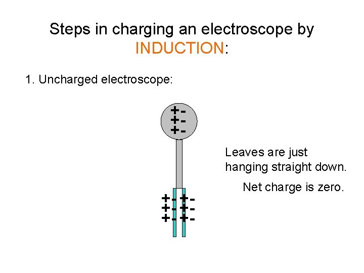 Steps in charging an electroscope by INDUCTION: 1. Uncharged electroscope: +++Leaves are just hanging