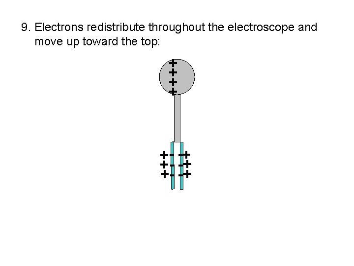 9. Electrons redistribute throughout the electroscope and move up toward the top: + +