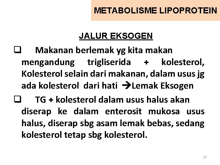 METABOLISME LIPOPROTEIN JALUR EKSOGEN q Makanan berlemak yg kita makan mengandung trigliserida + kolesterol,