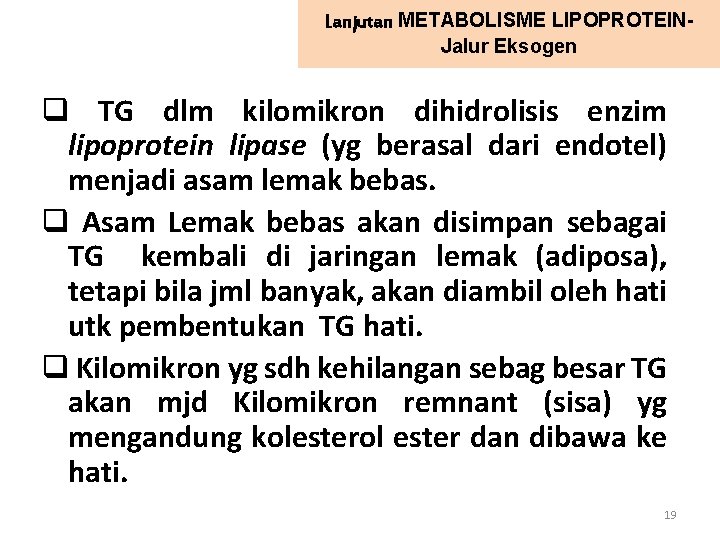 Lanjutan METABOLISME LIPOPROTEINJalur Eksogen q TG dlm kilomikron dihidrolisis enzim lipoprotein lipase (yg berasal