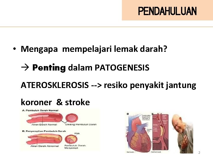 PENDAHULUAN • Mengapa mempelajari lemak darah? Penting dalam PATOGENESIS ATEROSKLEROSIS --> resiko penyakit jantung