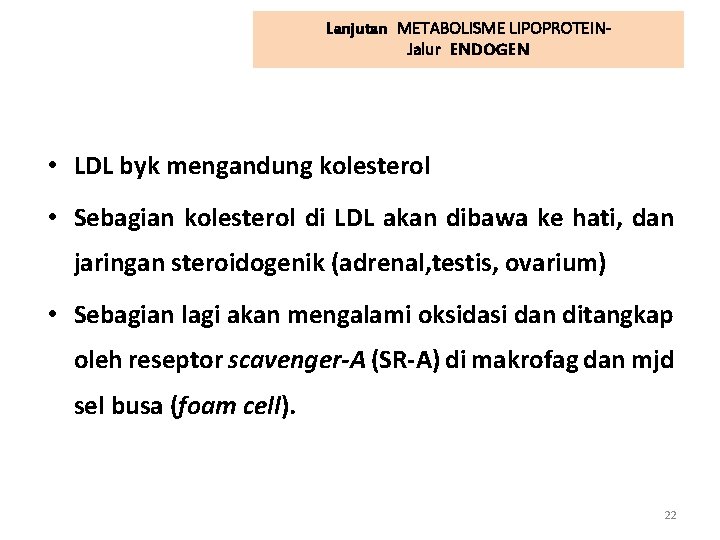 Lanjutan METABOLISME LIPOPROTEINJalur ENDOGEN • LDL byk mengandung kolesterol • Sebagian kolesterol di LDL