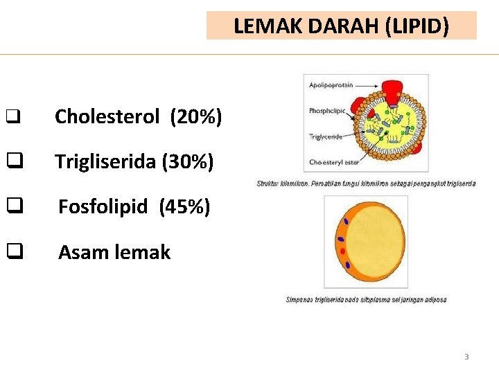 LEMAK DARAH (LIPID) q Cholesterol (20%) q Trigliserida (30%) q Fosfolipid (45%) q Asam