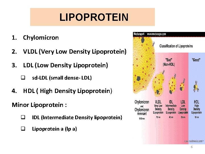 LIPOPROTEIN 1. Chylomicron 2. VLDL (Very Low Density Lipoprotein) 3. LDL (Low Density Lipoprotein)