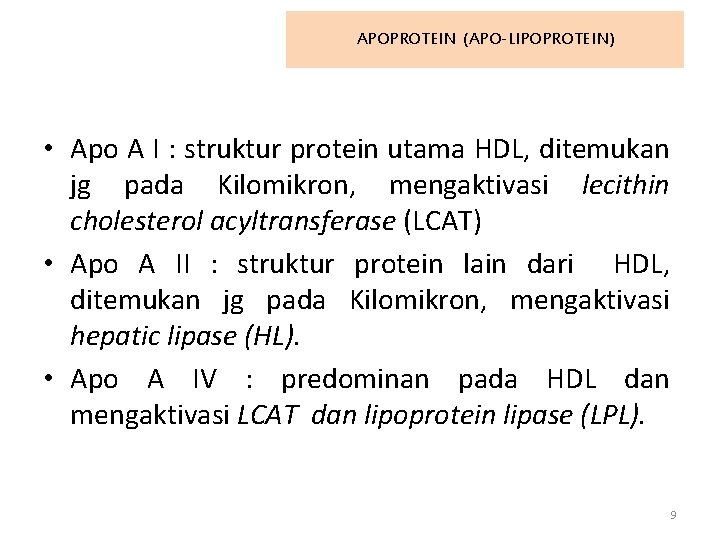 APOPROTEIN (APO-LIPOPROTEIN) • Apo A I : struktur protein utama HDL, ditemukan jg pada