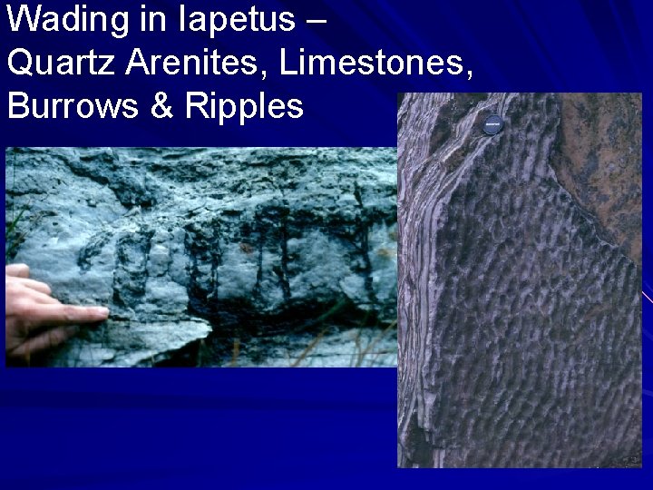 Wading in Iapetus – Quartz Arenites, Limestones, Burrows & Ripples 