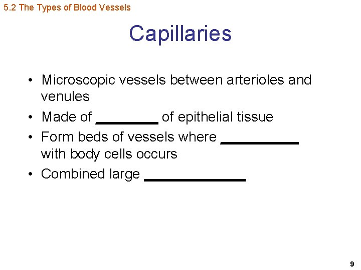 5. 2 The Types of Blood Vessels Capillaries • Microscopic vessels between arterioles and