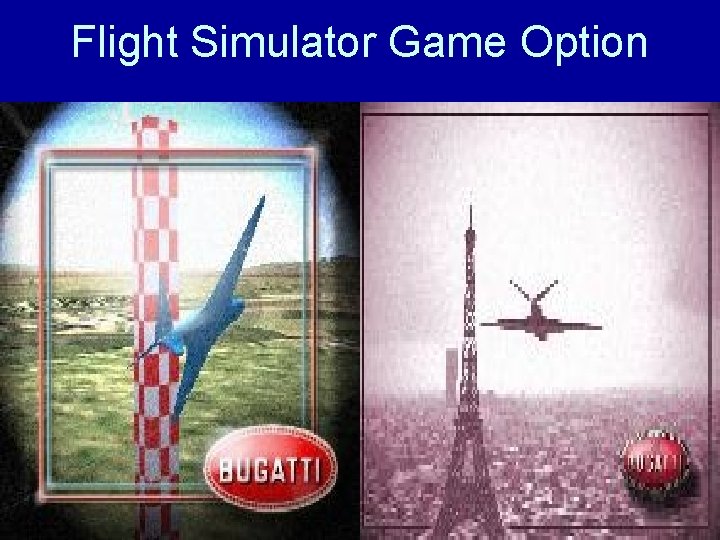 Flight Simulator Game Option 