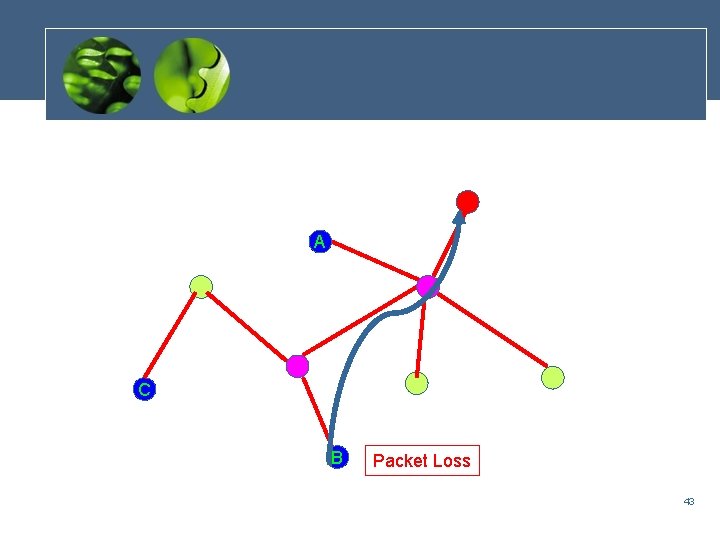 A C B Packet Loss 43 