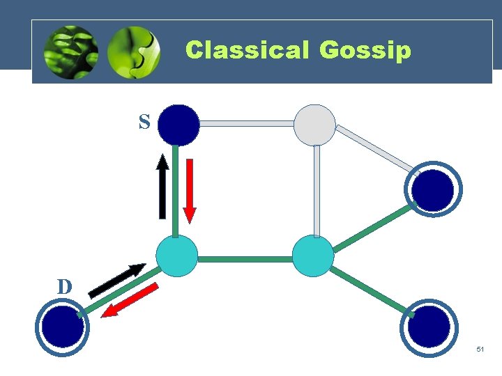 Classical Gossip S D 51 